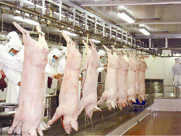 養(yǎng)殖、屠宰廢水